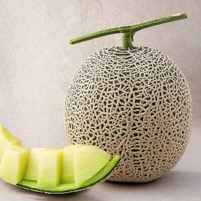새벽경매 머스크메론, 1.5kg, 1개