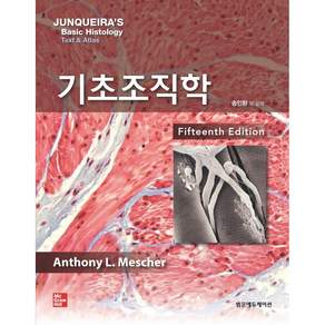 기초조직학 15판