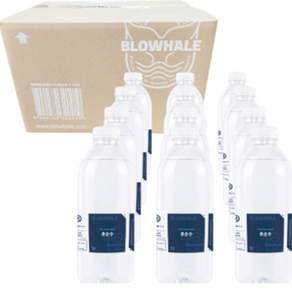 블로웨일 초순수 정제수 1L