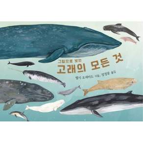 고래의 모든 것 그림으로 보는 양장