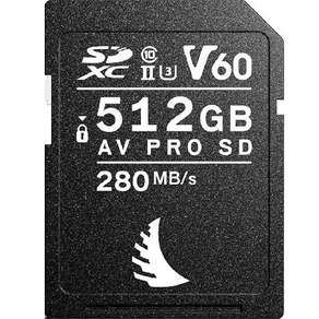 엔젤버드 AV PRO SD MK2 V60 메모리카드 AVP256SDMK2V60