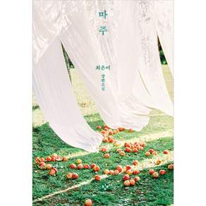 마주:최은미 장편소설