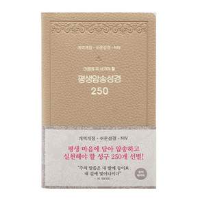 개역개정 평생 암송 성경 250 (쉬운성경 / NIV) 모카베이지