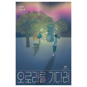 오로라를 기다려