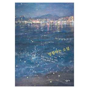 방황하는 소설