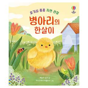 병아리의 한살이