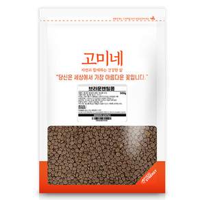 고미네 브라운 렌틸콩