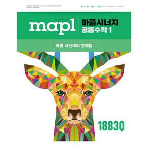2025 마플 시너지 공통수학1: 내신대비문제집