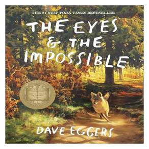 THE EYES & THE IMPOSSIBLE: The 1 New York Times Bestseller