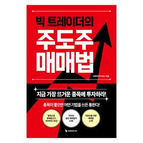 빅 트레이더의 주도주 매매법