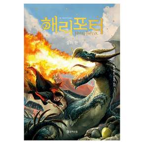 해리 포터와 불의 잔 2 무선