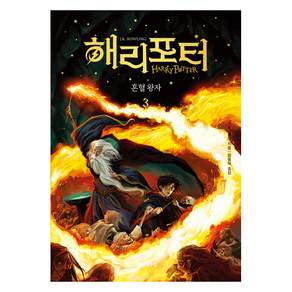 해리 포터 : 혼혈 왕자 3 (무선)