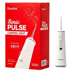 덴트릭스 소닉펄스 컨트롤샷 구강세정기