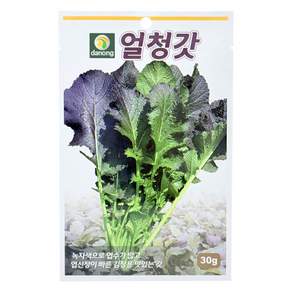 다농 얼청갓 씨앗 30g