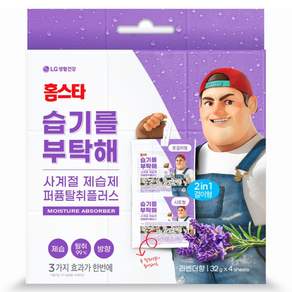 홈스타 습기를부탁해 퍼퓸탈취플러스 사계절 제습제 라벤더향 4p 본품