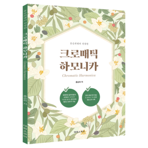 홍승희 쌤의 친절한 크로매틱 하모니카