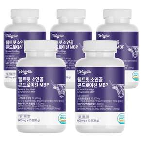 웰트릿 소연골 콘드로이친 MBP 60p