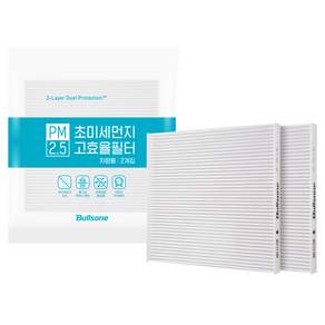 불스원 고효율 에어컨 필터 21호 2p, 1개, 단일상품(21번)