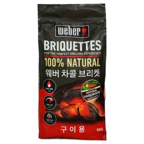 weber 차콜 브리켓