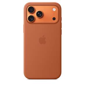 Apple 정품 아이폰 맥세이프 실리콘 케이스