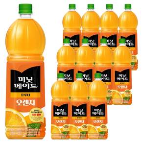미닛메이드 프루티 오렌지 주스