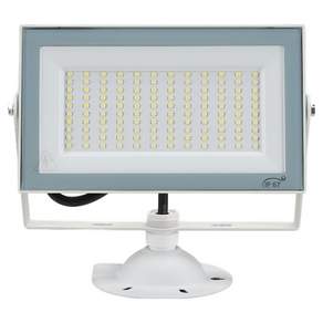 비츠온 LED 투광기 50W 화이트 + 주광색, 1개