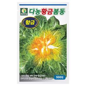 다농 황금봄동 씨앗 500p