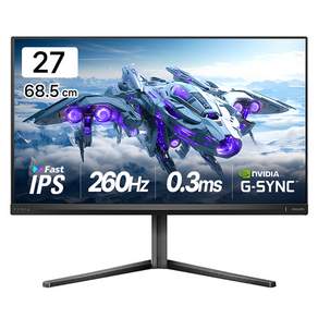 필립스 QHD 에브니아 260 FAST IPS 프리싱크 HDR 400 게이밍 무결점 모니터