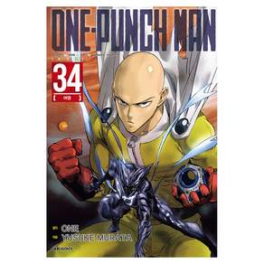 ONE PUNCH MAN : 34 여명