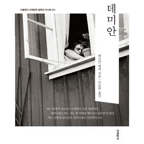 데미안 세계문학 컬렉션 미니북 11 포켓북 문고판