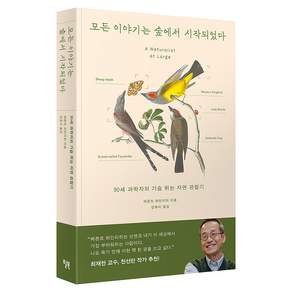 모든 이야기는 숲에서 시작되었다