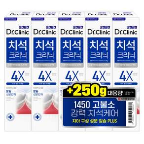 2080 닥터크리닉 대용량 고불소 치석 치약