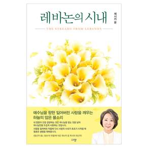 레바논의 시내