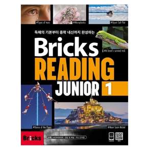 Bricks Reading Junior 1
