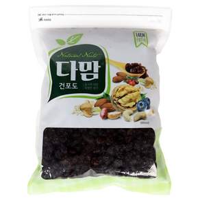 다맘 건포도
