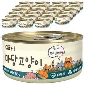 캣츠아이 마당고양이 캔