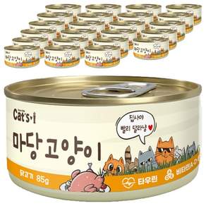 캣츠아이 마당고양이 캔