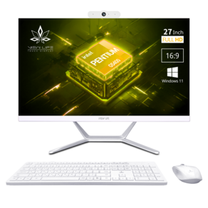 뷰라이프 2026 올인원 PC 27 펜티엄 골드