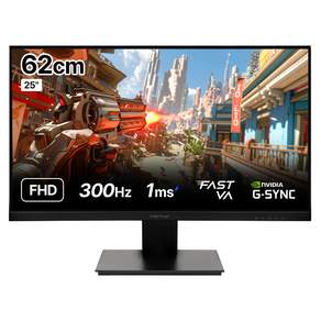 인터픽셀 FHD 300Hz FAST VA 게이밍 모니터