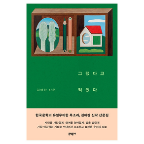 그랬다고 적었다:김애란 산문