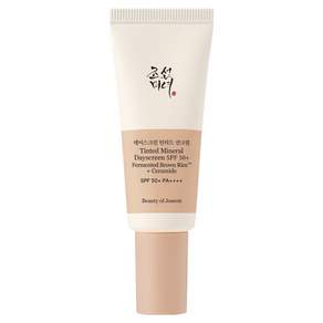 조선미녀 데이스크린 틴티드 선크림 25W SPF50 PA++++