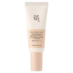 조선미녀 데이스크린 틴티드 선크림 21W SPF50+ PA++++
