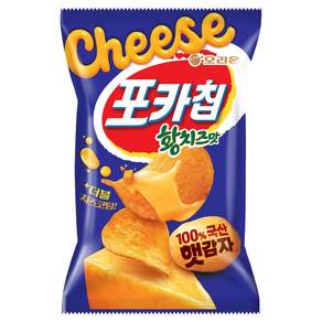 포카칩 오리온 황치즈