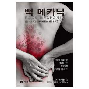 백 메카닉