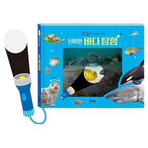 구석구석 자연관찰 스크린북 : 신비한 바다탐험