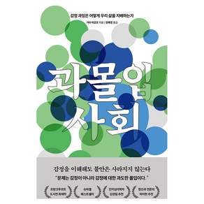 과몰입 사회