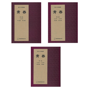 청춘 전 3권