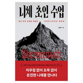니체 초인 수업