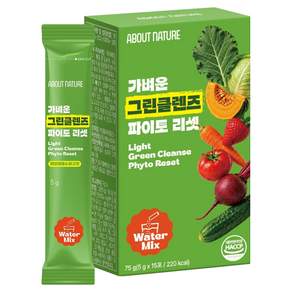 어바웃네이처 가벼운 그린클렌즈 파이토 리셋