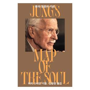 융의 영혼의 지도 개정판